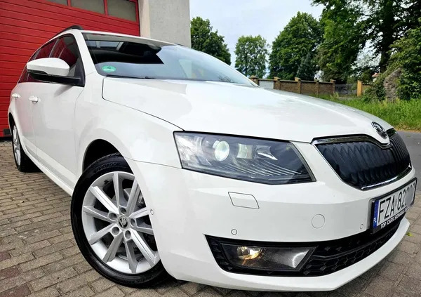 skoda ścinawa Skoda Octavia cena 43900 przebieg: 181000, rok produkcji 2013 z Ścinawa